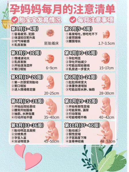 孕妇几个月显肚子_显怀早晚因人而异-第3张图片-星辰妙记