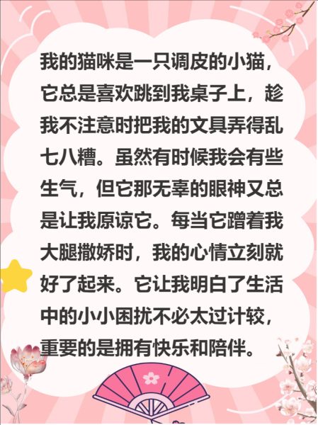 可爱的小猫作文怎么写_写小猫作文的优美句子有哪些-第3张图片-星辰妙记