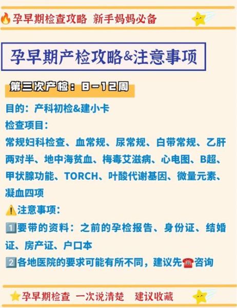 孕妇去日本旅游注意事项_日本孕期产检流程-第2张图片-星辰妙记