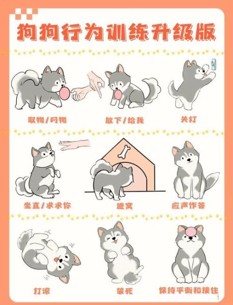 我家的小狗怎么训练_适合新手的小狗训练技巧-第3张图片-星辰妙记