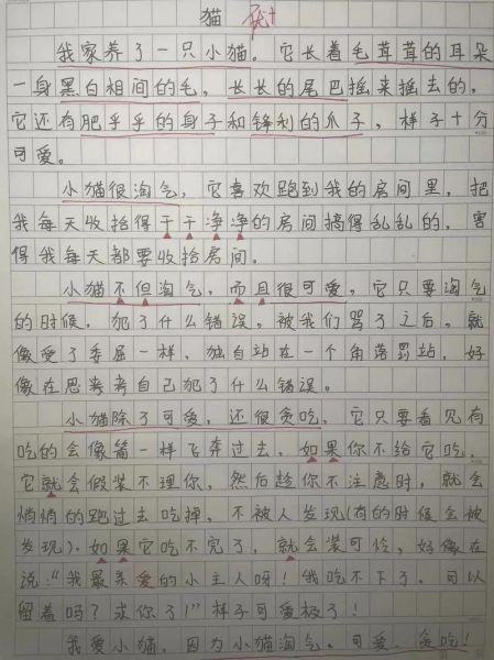 小猫作文怎么写_写小猫的作文技巧-第1张图片-星辰妙记