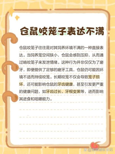 仓鼠为什么咬笼子_仓鼠咬笼子怎么办-第2张图片-星辰妙记