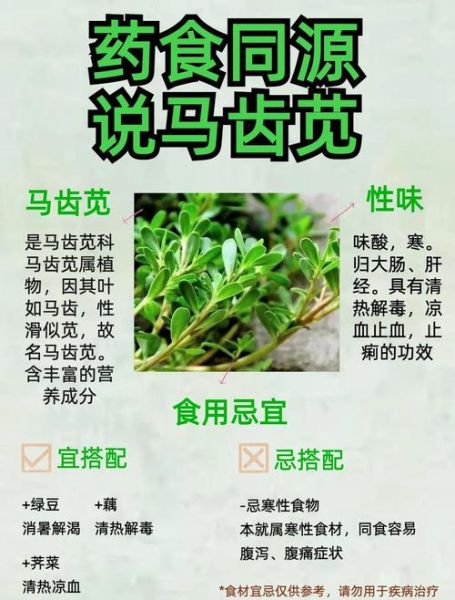 马齿苋孕妇能吃吗_孕妇吃马齿苋的风险-第1张图片-星辰妙记