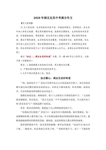 初三作文怎么写_如何拿高分-第3张图片-星辰妙记