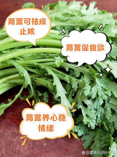 孕妇能吃茼蒿菜吗_怀孕吃茼蒿的禁忌-第1张图片-星辰妙记 孕妇能吃茼蒿菜吗_怀孕吃茼蒿的禁忌-第1张图片-星辰妙记