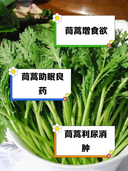孕妇能吃茼蒿菜吗_怀孕吃茼蒿的禁忌-第3张图片-星辰妙记 孕妇能吃茼蒿菜吗_怀孕吃茼蒿的禁忌-第3张图片-星辰妙记