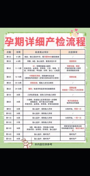 孕妇产检费用怎么报销_产检费用报销流程-第2张图片-星辰妙记 孕妇产检费用怎么报销_产检费用报销流程-第2张图片-星辰妙记