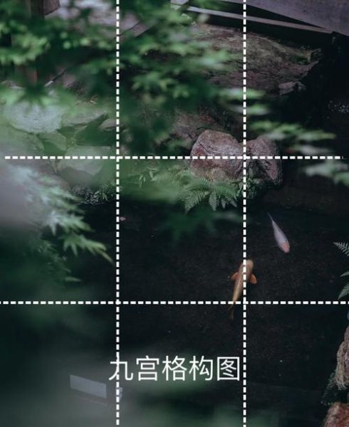 如何拍摄风景大片_风景摄影构图技巧-第2张图片-星辰妙记