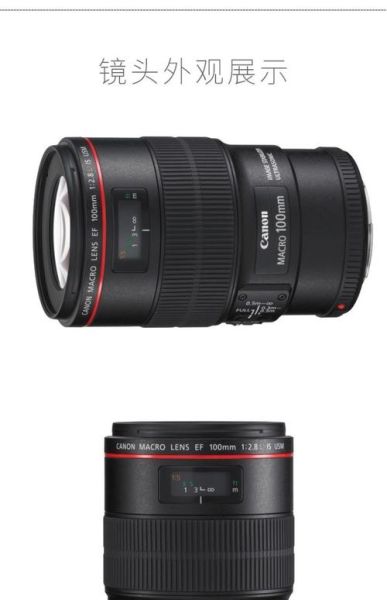 佳能100镜头多少钱_佳能100mm微距镜头价格-第1张图片-星辰妙记