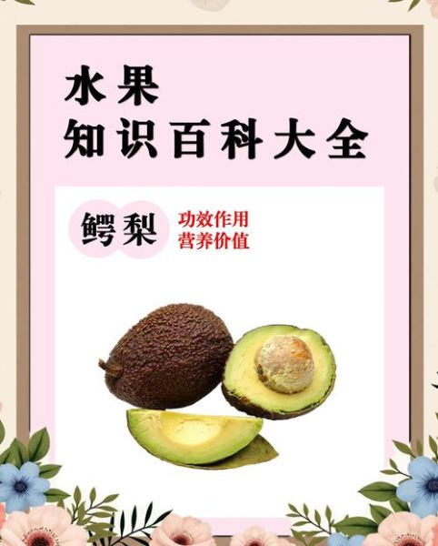 孕妇牛油果怎么吃_牛油果孕妇一天吃多少合适-第1张图片-星辰妙记 孕妇牛油果怎么吃_牛油果孕妇一天吃多少合适-第1张图片-星辰妙记