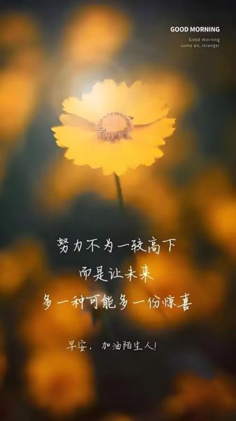 如何活出自己的精彩_什么是真正的自我实现-第3张图片-星辰妙记