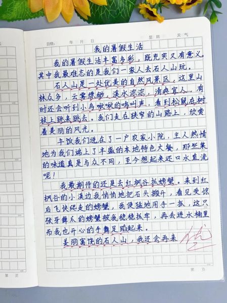 暑假生活作文怎么写_暑假生活作文开头怎么写-第2张图片-星辰妙记 暑假生活作文怎么写_暑假生活作文开头怎么写-第2张图片-星辰妙记
