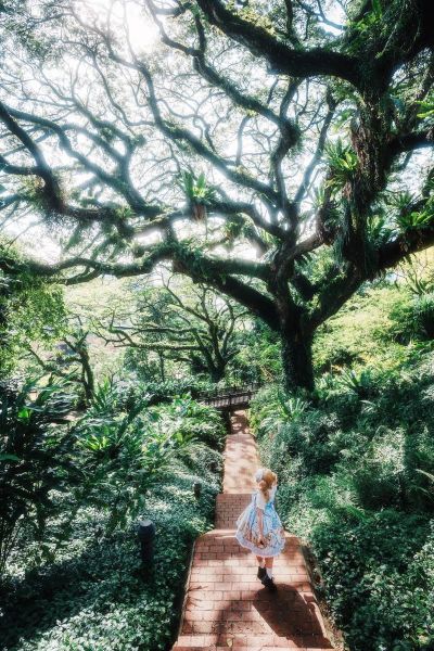 腾龙18-200镜头怎么样_腾龙18-200适合拍什么-第3张图片-星辰妙记