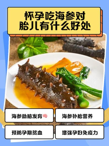 孕妇能吃海参吗_海参对胎儿的好处-第1张图片-星辰妙记 孕妇能吃海参吗_海参对胎儿的好处-第1张图片-星辰妙记