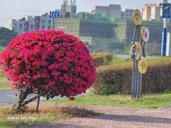 莱卡镜头样片画质如何_莱卡镜头适合拍什么题材-第2张图片-星辰妙记 莱卡镜头样片画质如何_莱卡镜头适合拍什么题材-第2张图片-星辰妙记