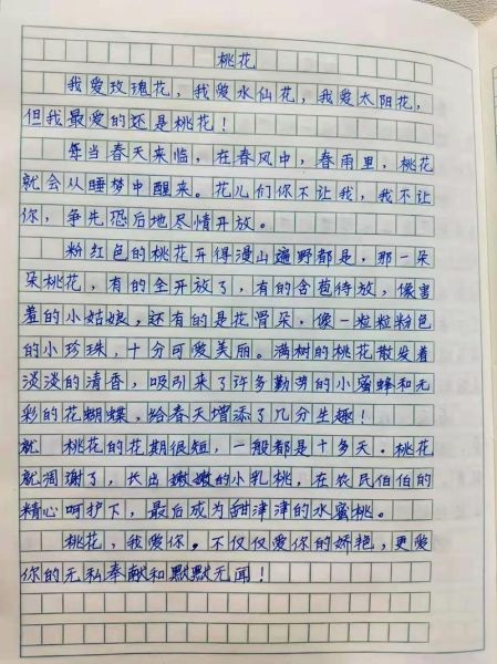 桃花作文怎么写_描写桃花的优美段落有哪些-第2张图片-星辰妙记
