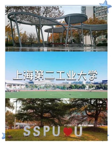 上海第二工业大学怎么样_就业前景如何-第1张图片-星辰妙记