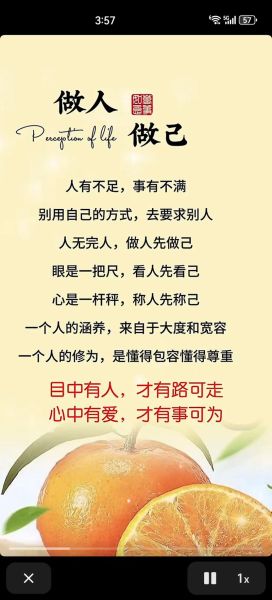 宽容的人有哪些品质_如何成为宽容的人-第1张图片-星辰妙记