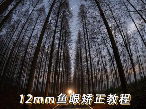 鱼眼镜头校正怎么做_鱼眼镜头畸变怎么修复-第1张图片-星辰妙记