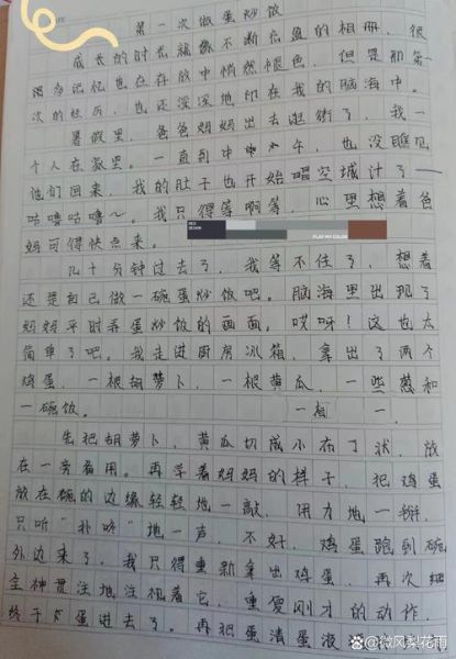 第一次写作文怎么写_第一次写作文开头怎么写-第2张图片-星辰妙记