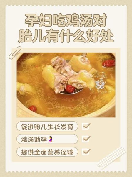 孕妇鸡汤怎么炖好喝又营养_孕妇喝鸡汤对胎儿好吗-第2张图片-星辰妙记 孕妇鸡汤怎么炖好喝又营养_孕妇喝鸡汤对胎儿好吗-第2张图片-星辰妙记