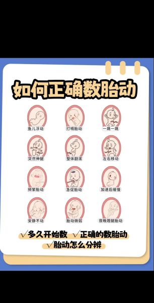 孕妇胎动几个月开始_胎动是什么感觉-第3张图片-星辰妙记 孕妇胎动几个月开始_胎动是什么感觉-第3张图片-星辰妙记