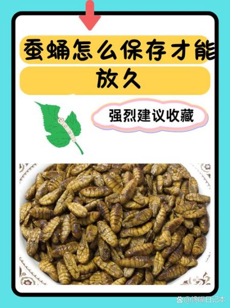 孕妇能吃蚕蛹吗_孕期吃蚕蛹安全吗-第2张图片-星辰妙记