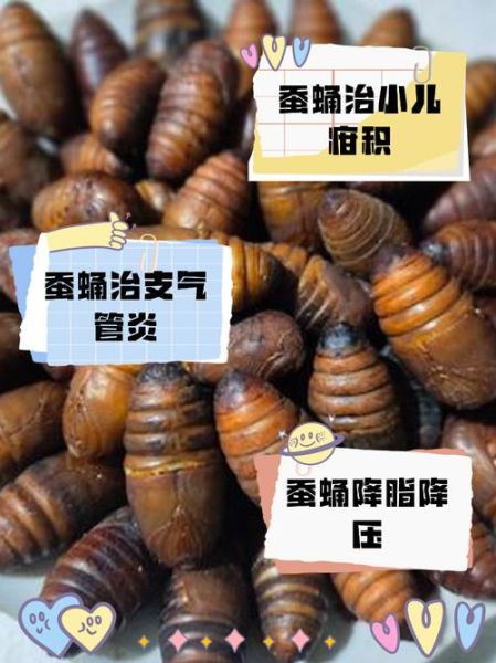 孕妇能吃蚕蛹吗_孕期吃蚕蛹安全吗-第3张图片-星辰妙记