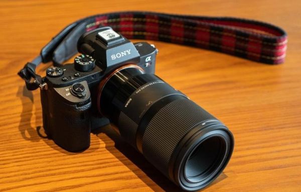 索尼镜头30mm f3.5_macro值得买吗_微距锐度实测-第2张图片-星辰妙记