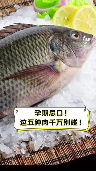 孕妇不能吃什么肉类_孕妇忌口肉类有哪些-第3张图片-星辰妙记