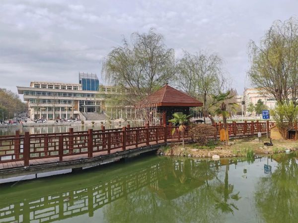 信阳师范大学是几本_信阳师范大学属于几本院校-第1张图片-星辰妙记