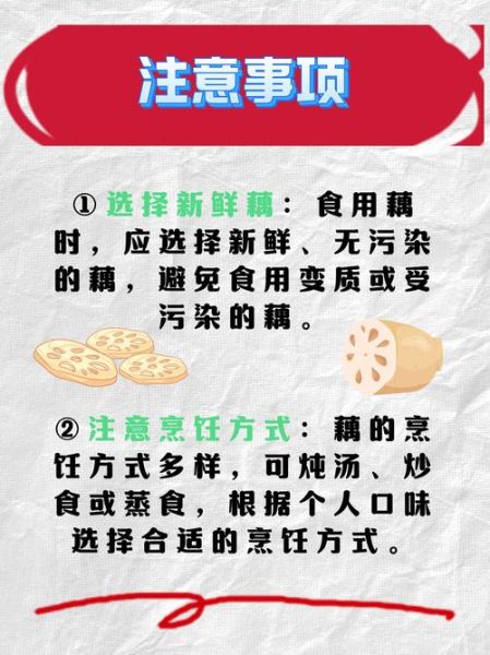 孕妇可以吃藕片吗_藕片对孕妇有什么好处-第3张图片-星辰妙记