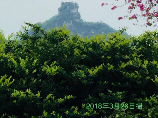 雀儿山公园作文怎么写_有哪些写作技巧-第1张图片-星辰妙记