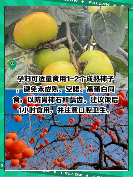 孕妇可以吃柿子吗_吃柿子对胎儿有影响吗-第2张图片-星辰妙记