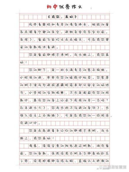 如何写好初中作文_初中作文怎么写-第2张图片-星辰妙记