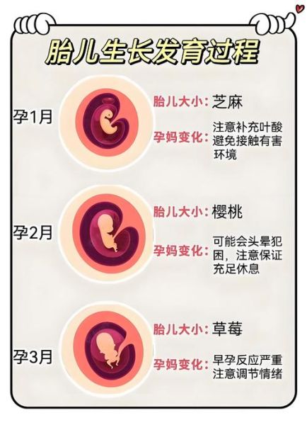 孕妇能做脑电图吗_对胎儿有影响吗-第2张图片-星辰妙记 孕妇能做脑电图吗_对胎儿有影响吗-第2张图片-星辰妙记