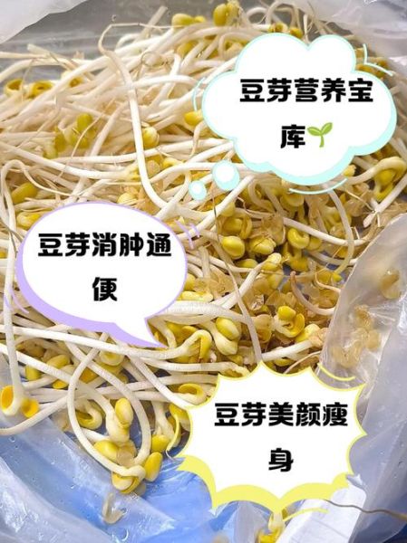孕妇能吃绿豆芽吗_绿豆芽对胎儿有影响吗-第2张图片-星辰妙记 孕妇能吃绿豆芽吗_绿豆芽对胎儿有影响吗-第2张图片-星辰妙记