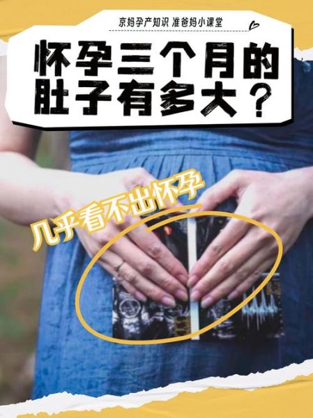 三个月孕妇肚子大小_怀孕三个月肚子变化-第1张图片-星辰妙记