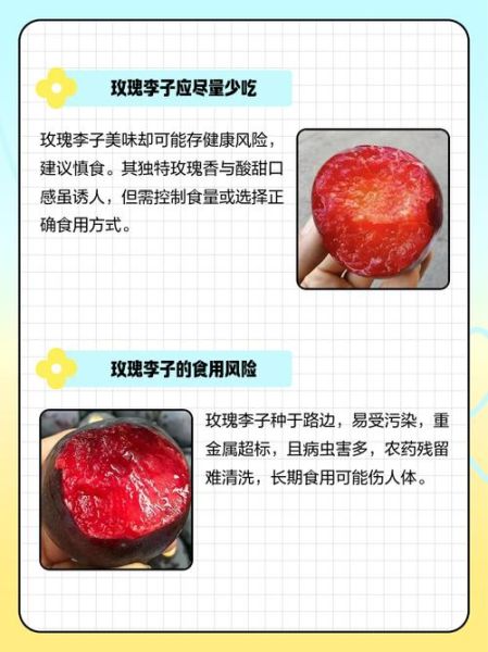 李子孕妇能吃吗_李子对胎儿有影响吗-第3张图片-星辰妙记 李子孕妇能吃吗_李子对胎儿有影响吗-第3张图片-星辰妙记