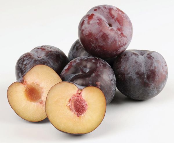 李子孕妇能吃吗_李子对胎儿有影响吗-第1张图片-星辰妙记 李子孕妇能吃吗_李子对胎儿有影响吗-第1张图片-星辰妙记