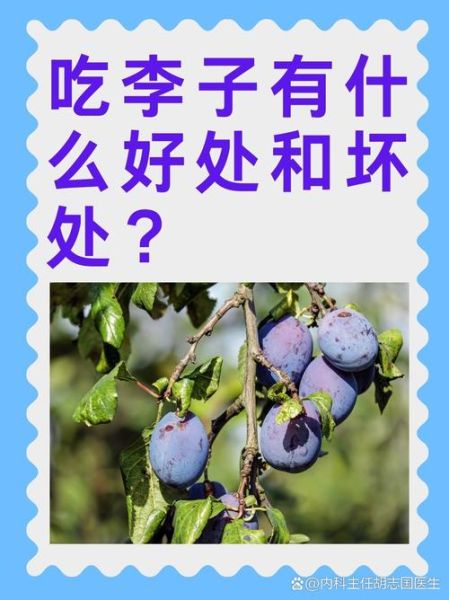 李子孕妇能吃吗_李子对胎儿有影响吗-第2张图片-星辰妙记 李子孕妇能吃吗_李子对胎儿有影响吗-第2张图片-星辰妙记