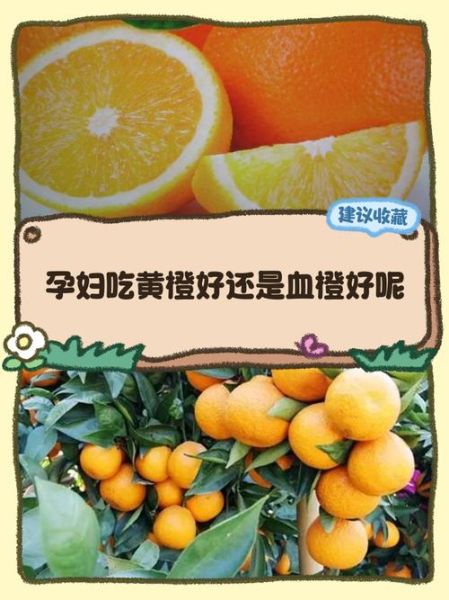 孕妇可以吃橘子吗_孕期吃橘子对胎儿好吗-第2张图片-星辰妙记 孕妇可以吃橘子吗_孕期吃橘子对胎儿好吗-第2张图片-星辰妙记