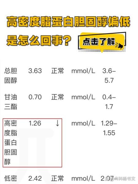 孕妇总蛋白偏低是什么原因_怎么办-第2张图片-星辰妙记