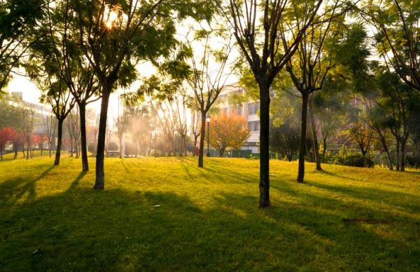 时景观镜头怎么拍_时景观镜头适合什么场景-第1张图片-星辰妙记 时景观镜头怎么拍_时景观镜头适合什么场景-第1张图片-星辰妙记