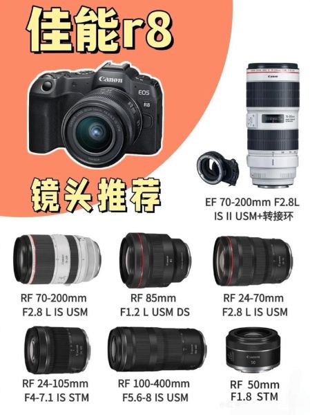 佳能微距镜头哪款好_佳能微距镜头怎么选-第3张图片-星辰妙记