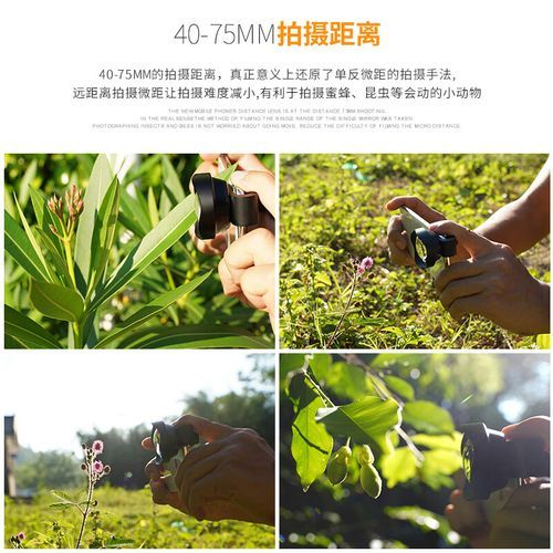 微距单反镜头推荐_微距单反镜头怎么选-第3张图片-星辰妙记