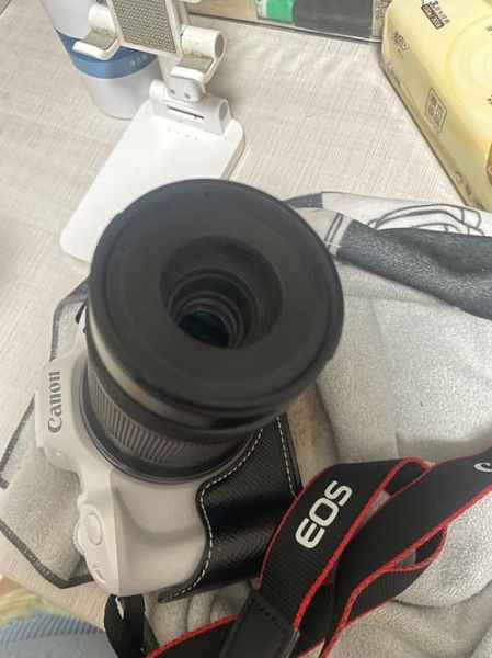 55-210镜头适合拍什么_55-210镜头画质怎么样-第2张图片-星辰妙记