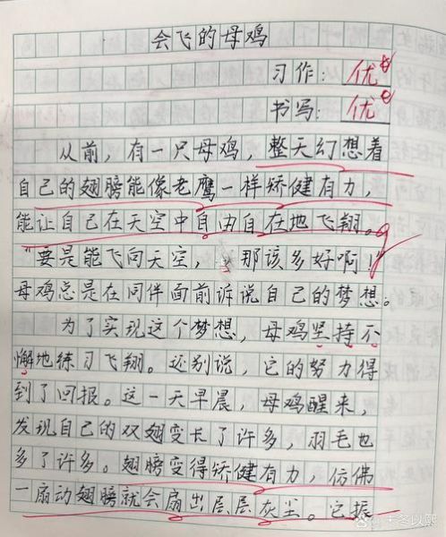 飞鸟乐园有什么好玩的_飞鸟乐园作文怎么写-第1张图片-星辰妙记 飞鸟乐园有什么好玩的_飞鸟乐园作文怎么写-第1张图片-星辰妙记