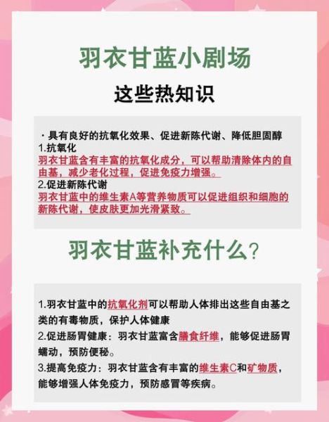 孕妇可以吃羽衣甘蓝吗_羽衣甘蓝孕期安全吃法-第1张图片-星辰妙记 孕妇可以吃羽衣甘蓝吗_羽衣甘蓝孕期安全吃法-第1张图片-星辰妙记