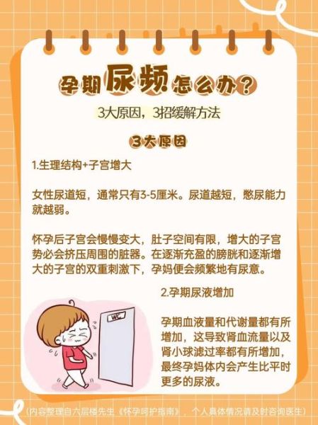 孕妇四个月尿频正常吗_孕中期频繁上厕所原因-第1张图片-星辰妙记 孕妇四个月尿频正常吗_孕中期频繁上厕所原因-第1张图片-星辰妙记